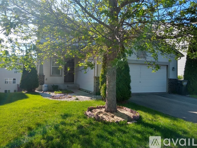 A tree in a grassy area in front of a house.