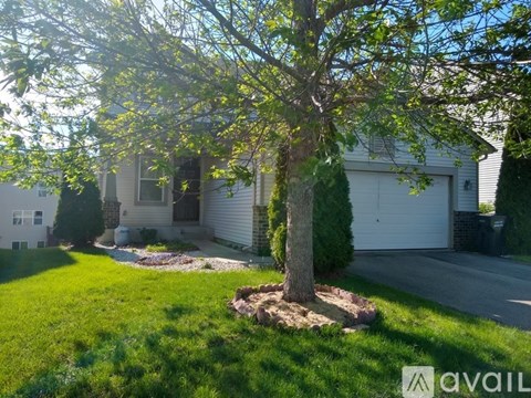 A tree in a grassy area in front of a house.