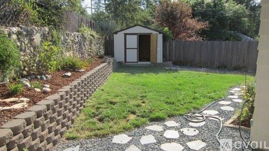 A backyard with a small shed and a stone wall.
