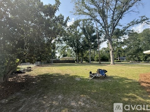 A backyard with a lawn and trees.