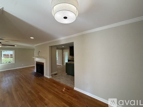 A living room with a fireplace and a ceiling light.