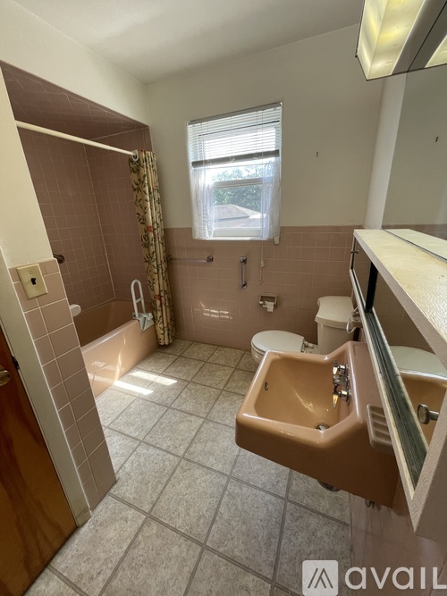 A bathroom with a brown shower stall, a sink, and a toilet.