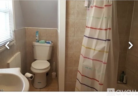 A bathroom with a toilet, sink, and shower curtain.