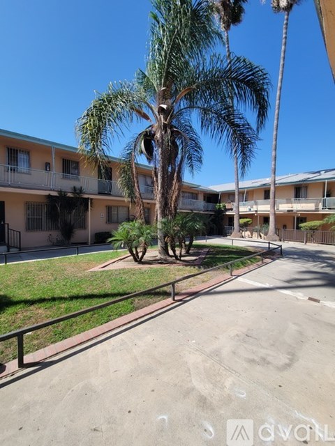 A palm tree stands in front of apartment buildings.