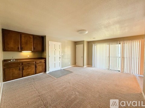 A carpeted room with a kitchen area and sliding glass doors.
