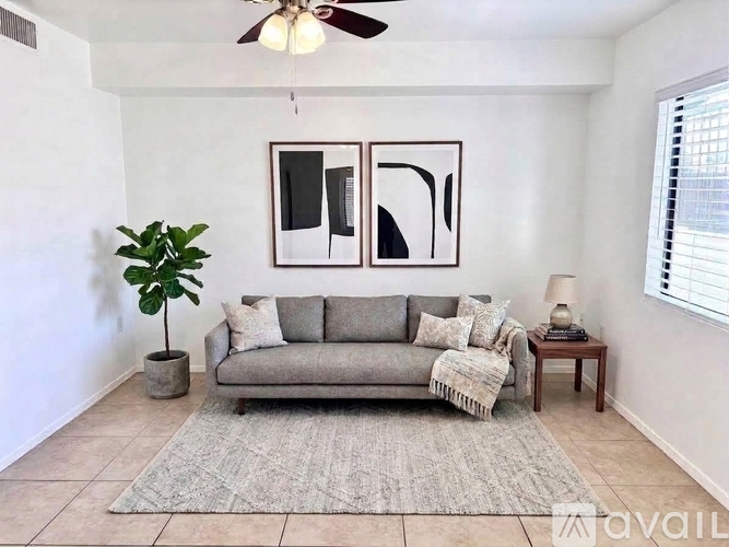 A living room with a grey couch, a plant, a table with a lamp and a picture frame on the wall.