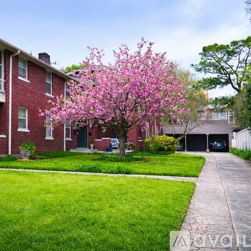 1720 Harbert Ave 2 Beds Apartment for Rent - Photo gallery 2