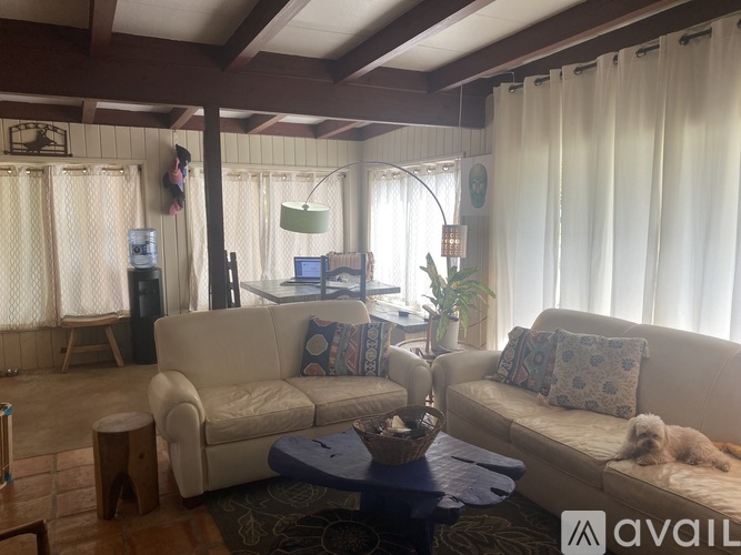 A living room with a couch, a chair, a coffee table, and a dog.
