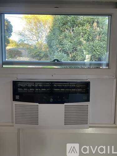 A window with a view of trees and a fence outside.