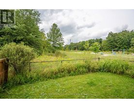 A grassy field with a fence and trees in the background.