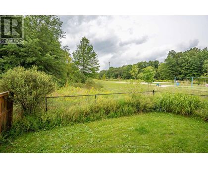 A grassy field with a fence and trees in the background.