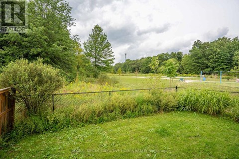 A grassy field with a fence and trees in the background.
