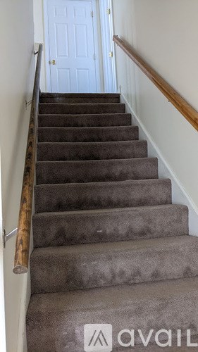 A staircase with a wooden handrail and a carpeted runner.