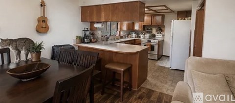 A cat is standing on a table in a kitchen.