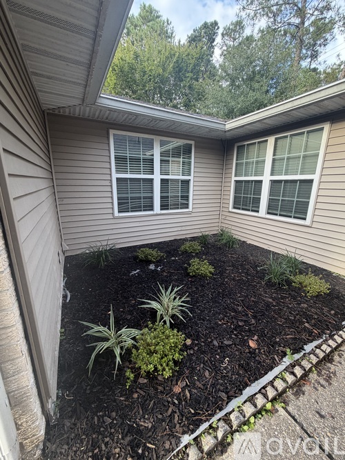 A small garden with a few plants and a wooden fence.