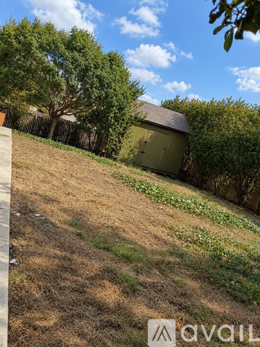 A grassy field with a tree and a shed in the background.