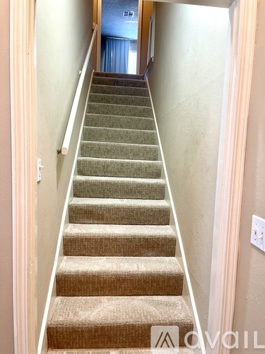 A staircase with beige carpeted steps and white handrails.