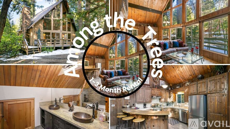 A collage of a house with the text "Among the Trees" and "1-3 Month Rentals" overlaid on it.