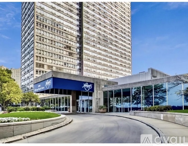 4800 South Chicago Beach Drive 1 Condo for Rent - Photo gallery 5