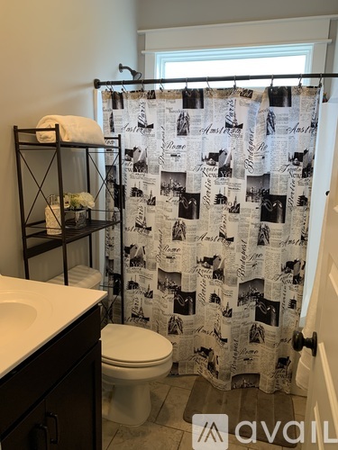 A bathroom with a shower curtain that has a newspaper print on it.