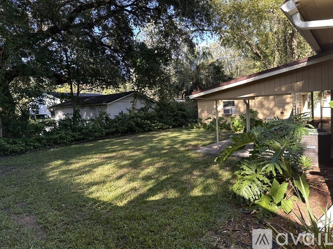 A backyard with a lawn and trees.