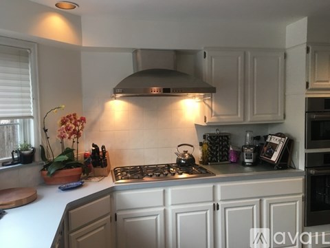 A kitchen with a stove and a pot of flowers.