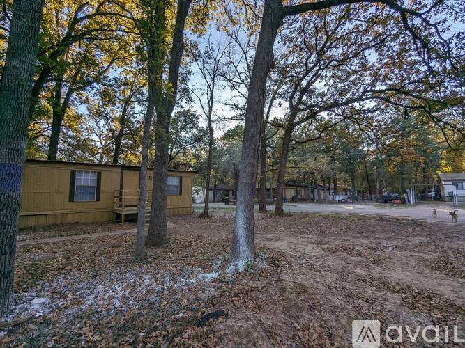 101 Wedgewood Loop 3 Beds Single Family Home for Rent - Photo gallery 5