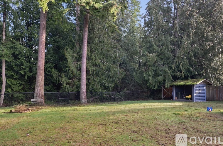 A grassy area with trees and a shed in the background.