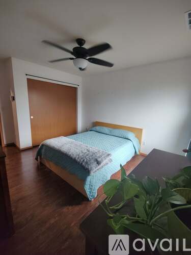 A bedroom with a bed, a ceiling fan, and a plant.