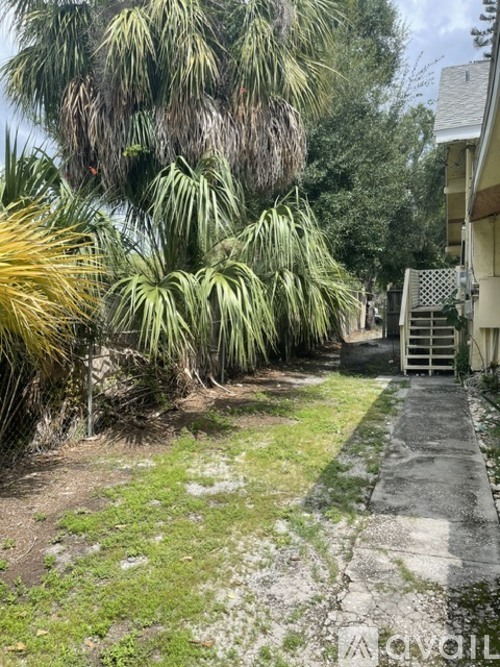 A pathway with a gate and palm trees on the side.