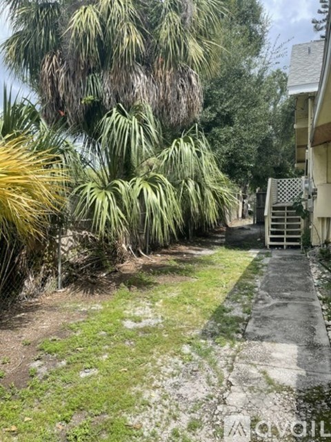 A pathway with a gate and palm trees on the side.