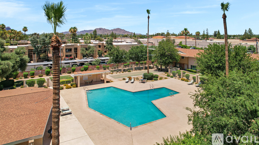 A pool surrounded by palm trees and houses.