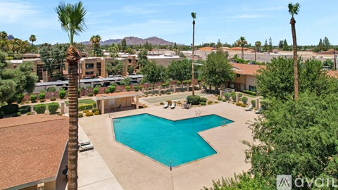 A pool surrounded by palm trees and houses.