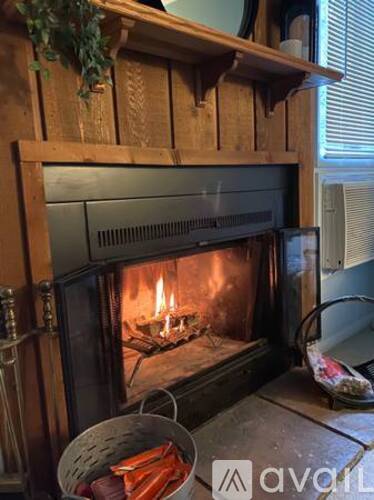 Spruce Trail 1 Single Family Home for Rent - Photo gallery 3