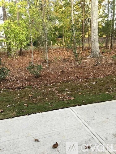 A sidewalk leads through a wooded area with trees and leaves on the ground.