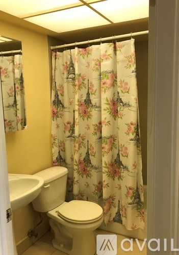 A bathroom with a toilet, sink, and floral shower curtain.