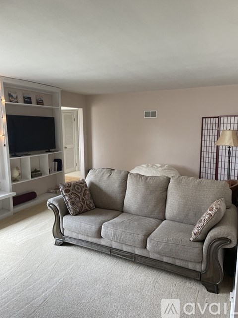 A living room with a grey couch and a television.