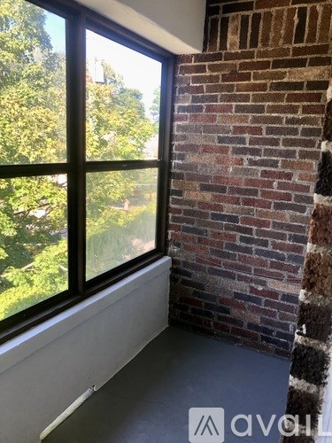 A window with a view of trees outside.