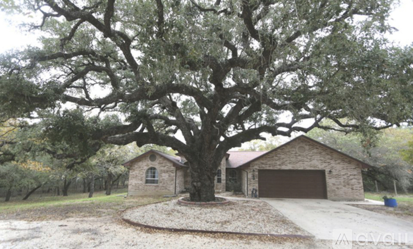 A large tree is in front of a house.