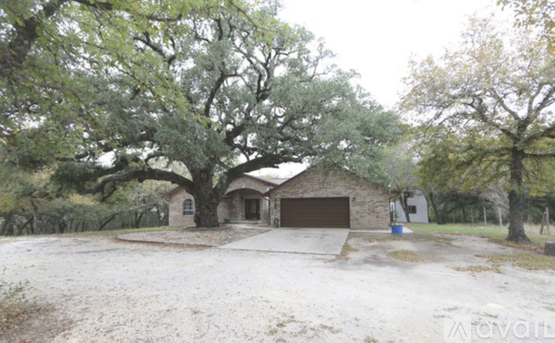 A house with a large tree in front of it.