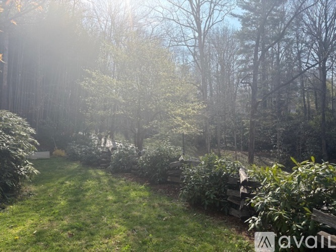 6 Caledonia Road 2 Beds Single Family Home for Rent - Photo gallery 5