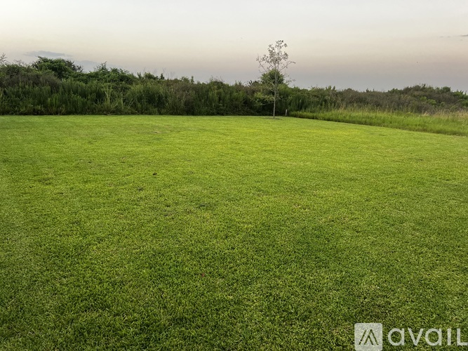 A large grassy field with a tree in the distance.