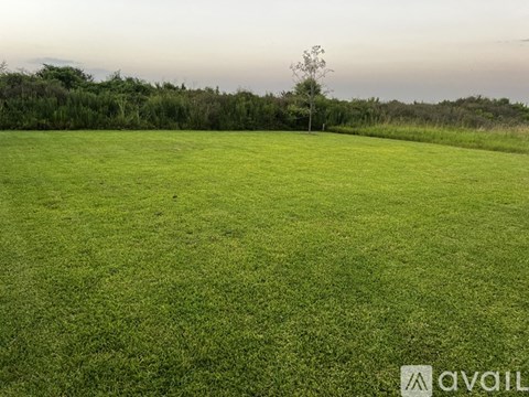 A large grassy field with a tree in the distance.