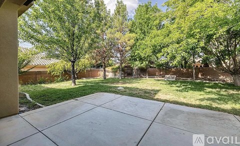 A backyard with a concrete patio and a variety of trees.