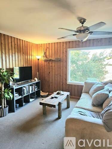 A living room with a couch, a coffee table, a television, and a ceiling fan.