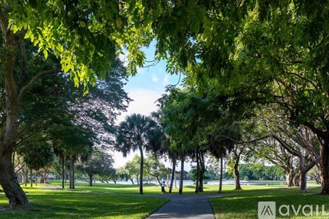 A pathway is seen through a grove of trees.
