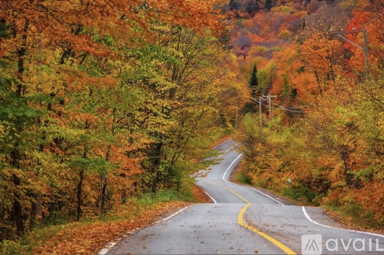 29 Markham Lane 2 Beds Single Family Home for Rent - Photo gallery 2