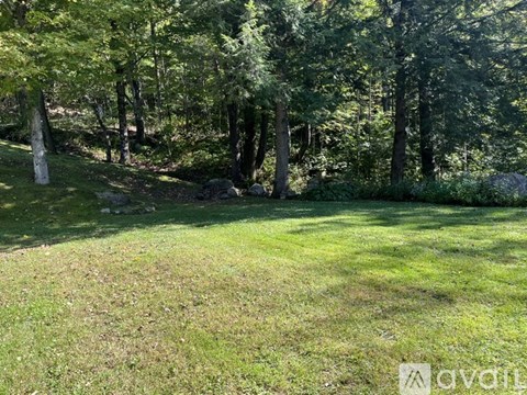 A grassy area with trees in the background.