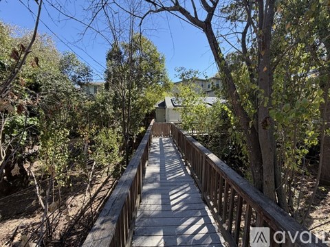 A wooden walkway leads through a wooded area.