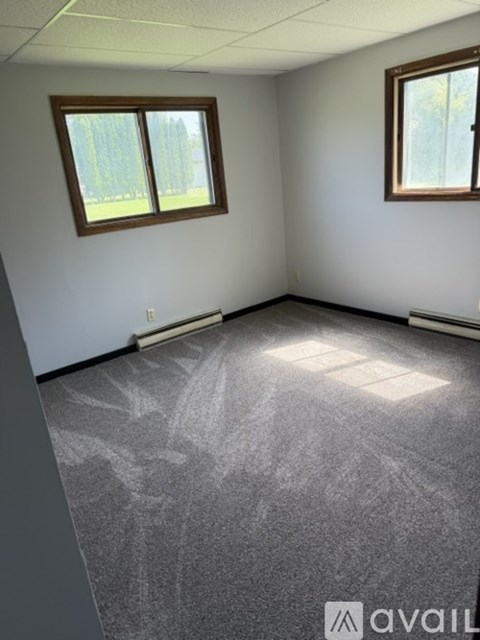 A room with two windows and a carpeted floor.
